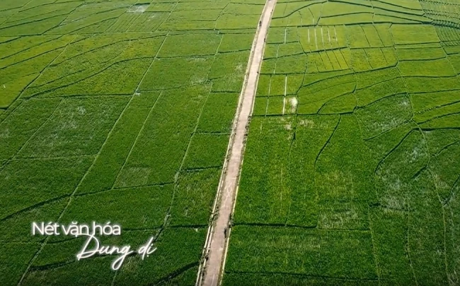 Teaser Gold Coast Vũng Tàu